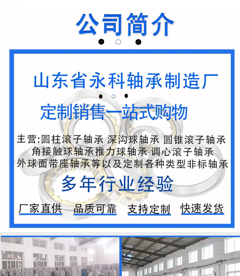 圆柱滚子轴承_02.jpg