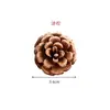 Decoração de Pinha Bolota de Pinha Flor Seca Floresta Jardim de Infância Artesanal DIY Criação de Ambiente Galhos Secos Ornamentos Criativos Selvagens