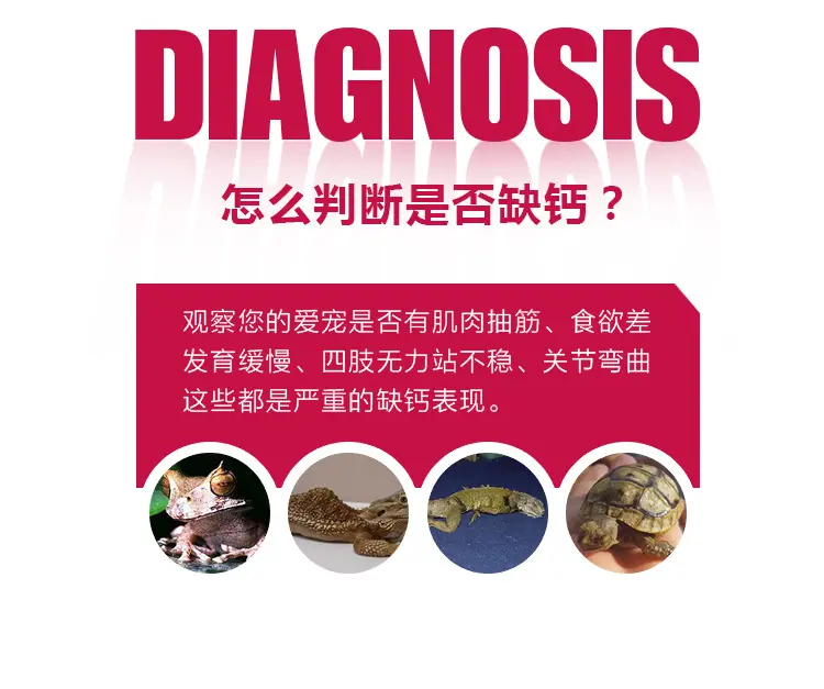 详_r8_c1.png