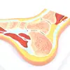 Modelo de Anatomia da Estrutura da Seção Transversal Óssea Muscular da Articulação do Pé por Ressonância Magnética Humana Espécime de Ensino Médico Ortopédico da Dor