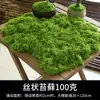 Simulação musgo gramado biônico artificial falso musgo micro paisagem layout ornamentos gramado bonsai vaso pavimentação paisagismo