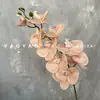 Decoración de Mesa Escandinava de Falenopsis de 9 Cabezas Impresa en 3D Película Floral de Boda Flor Artificial de Falenopsis Accesorios para Fotografía