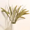 Ramo de Flores Secas de Yunnan Espigas de Mijo Espigas de Grano Decoración para el Hogar Literaria Pastoral Accesorios para Fotografía Flores Secas DIY Venta al por Mayor