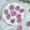 Bucanvileia Flores Secas Espécime de Planta Marcador de Página Porta-Retrato DIY Colagem de Gotejamento Joias de Resina Pintura Decorativa Embossada Feita à Mão