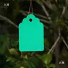 Etiquetas para Jardinería Color Plástico Etiquetas Colgantes Marcadores de Identificación de Plantas Etiquetas Colgantes Flores en Maceta Cuerdas de Cultivo Etiquetas Colgantes