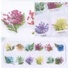 12 cores tridimensionais nail art flores secas tamanho da caixa longa flores secas 24 multi-tamanho unhas jóias do prego atacado