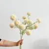 Estilo Nórdico Ins Hogar Vestido Suave Flor de Simulación Diente de León Flor de Boda Bola de Cebolla Cuatro Decoraciones de Hortensia Paisaje
