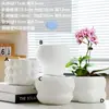 Vaso de Cerâmica para Flores com Prato, Estilo Ins de Luxo Leve, Diâmetro Grande, Estilo Creme, para Orquídeas e Suculentas, Liquidação