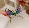 Broche Borboleta Explosivo Anti-leve Inseto Corsage Acessórios Femininos Acrílico Asas Transparentes High-end Sense Vestuário Pin