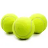 20 Pelotas de Tenis de Entrenamiento para Niños y Perros, Pelotas de Tenis Resistentes a Mordeduras para Principiantes, Pelotas de Masaje Fitness de Alta Elasticidad