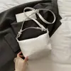 Bolso de Mano Trenzado de Alto Gama para Empanadas 2025 Bolso de Hombro de Nicho Bolso para Lonchera Nuevo de Otoño para Viajeros