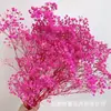 Flores secas de gypsophila preservada más vendidas, ramo grande multicolor, flores frescas para decoración del hogar, venta al por mayor de flores para manualidades DIY