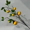 Manzana de Simulación Fruta Falsa Accesorios Decorativos Modelo Decoración para el Hogar Sala de Estar Fruta de Acebo de Simulación Caqui de Simulación