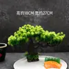 Plato Decorativo para Presentación de Mariscos Sashimi de Hotel con Flores y Plantas, Adornos Creativos para Platos, Decoraciones de Plato de Pino, Adornos Pequeños