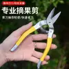 Tijeras para Ramas de Acero Inoxidable con Mango Antideslizante para Podar y Recolectar Fruta, Tijeras de Jardinería Específicamente para la Cosecha de Fruta