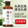 Ginseng, Hojas de Ciprés de Leyland, Polygonum Multiflorum, Fruta de Jabón, Champú Puro Hecho a Mano, Jabón Vegetal Nutritivo y para el Cuidado del Cabello, Entrega Directa de Fábrica