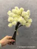 Fruta de castaña de simulación flor de bola espinosa planta fruta accesorios de decoración del hogar nórdico diente de león clavel agujas de pino bola de cebolla