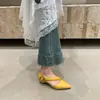 Primeiro Encontro com os Sapatos Mary Jane de Salto Grosso Nicho Estilo Francês para Mulheres, Sapatos Rasos de Bico Apontado Primavera/Verão 2026, Sapatos Rasos Pequenos de Couro Macio