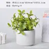 Macetas de Porcelana Blanca Transfronterizas Amazon Macetas Cerámicas para Suculentas Simples Creativas Blanco y Negro para Interiores Macetas para Orquídeas Plantas Verdes
