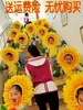 Adereço de Cabeça de Girassol, Máscara Facial de Girassol, Adereços Criativos para a Cerimônia de Abertura dos Jogos Esportivos, Performance de Formação de Flores que Revelam o Rosto