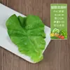 Hojas de Lechuga de Simulación Verdura Falsa Modelo de Frutas y Verduras Decoración Accesorios Adornos de Lechuga Hojas Grandes de Frutas y Verduras