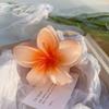 Plumeria Pinza Grande para el Cabello 2024 Nueva Pinza para el Cabello Parte Trasera de la Cabeza Flor Pinza de Tiburón de Alta Gama Accesorios para el Cabello de Playa