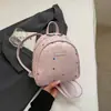 Mini Mochila para Mulheres, Bolsa de Viagem Leve e Estilosa, Design de Nicho, Nova Mochila de Verão 2026 Tendência para o Dia a Dia