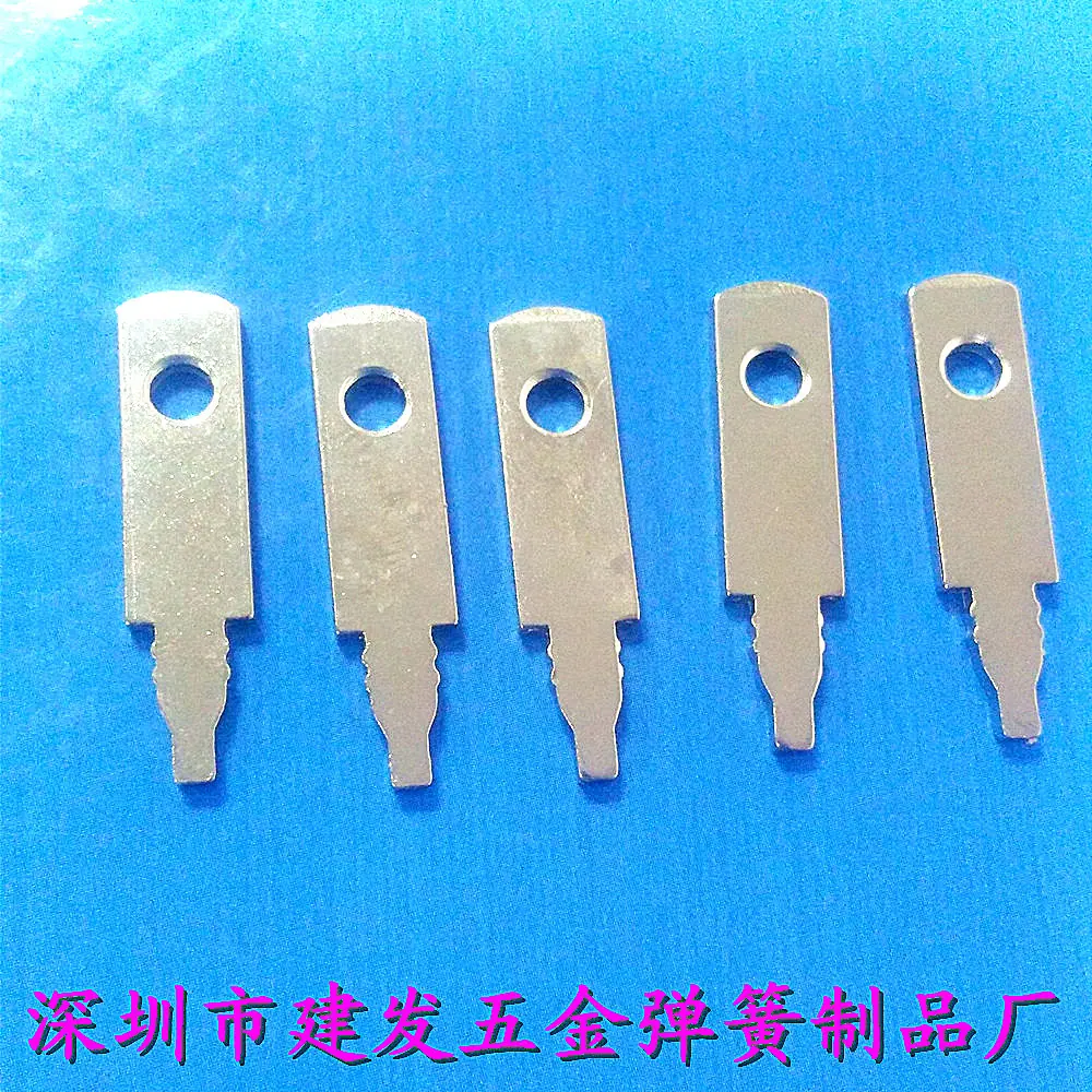 照片 216_副本