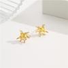 Pendientes Zhongxing de Estilo Europeo y Americano Transfronterizos Pendientes con Aguja de Plata S925 Diseño Exagerado de Personalidad Pendientes de Alto Sentido para Instagram Venta al por Mayor