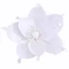 Guirlanda de Magnólia de Natal Transfronteiriça Acessórios para Árvore de Natal Pó Dourado Lantejoula Flores Decorativas Acessórios de Rattan de Natal Flores de Magnólia