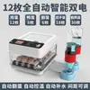 Incubadora Totalmente Automática Incubadora Casera para Niños Incubadora Pequeña para Huevos de Gallina Aislamiento Rutinario Temperatura Constante Huevo Inteligente