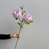 Rosa Austin extra grande estilo europeu, rosa de jardim de alta qualidade e flores de peônia, arranjos florais, flores decorativas e buquês