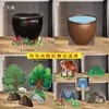 Héroe Lluvia Llega Sima Guang Rompe el Jarrón Atrezo Juego Fondo Tablero KT Guardería Bosque Árbol Grande Actuación Infantil Leide Zhu