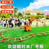 Montanha-russa Popular Movida por Humanos ao Ar Livre, Equipamento de Diversão Não Motorizado para Áreas Turísticas, Parques Infantis e Parques