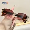 Óculos de Sol Estilo Gatinho Retrô Spice Girls Europeus e Americanos Sensação Avançada Finos Distintivos Óculos de Sol de Metal Estilo Celeiro Óculos Batata Doce Masculinos