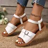 Sandalias Casuales de Comercio Exterior para Mujer 2026 Verano Banda Elástica Hebilla Talla Grande Suela Plana Punta Abierta Elegantes Suela Suave Sandalias de Playa