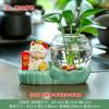 Atrae Riqueza y Tesoro Adornos de Gato Muebles para el Hogar Nuevo Oficina Pothos de Gama Alta Botella de Cristal para Cultivo Pequeños Adornos de Escritorio Nuevo