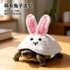 Ropa para tortugas mascotas más vendida de Amazon, disfraz de mascota con forma de conejo tejido 3D para tortugas, venta al por mayor desde el fabricante