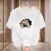 Camiseta masculina TikTok Internet popular da marca da moda verão masculina solta plus size gola redonda estampada camisa esportiva base
