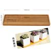 Herramientas para Plantar Suculentas, Accesorios de Jardinería, Regaderas DIY para Suculentas, Palas, Atomizadores, Herramientas Prácticas