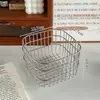 Prateleira de armazenamento de aço inoxidável estilo Ins, prateleira de armazenamento de camada dupla, simples para mesa, organizador de skincare, cosméticos e itens diversos