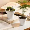 Mini Macetas, Exquisitas Macetas para Suculentas, Pequeñas Macetas para Plantas de Interior, Macetas Pequeñas de Plástico Modernas No Porosas