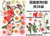 Bolsa de Rafia para Plantas Bolsa de Material para Estampado de Flores Secas Espécimen de Hoja de Flor Real Pintura DIY Marcapáginas Goteo de Pegamento Posavasos de Flores Secas