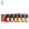 Caja de Regalo Personalizada de Seis Piezas para Aromaterapia sin Fuego Aceites Esenciales Incienso Fragancia Duradera para Interiores Adornos de Fragancia