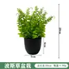 Plantas Pequeñas de Eucalipto de Venta Caliente Transfronteriza, Bonsái, Plantas Artificiales, Plantas Verdes Falsas, Decoración Interior y Exterior de Plástico