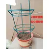 Cacto de Natal Cacto Orquídea Enxertado Hoya Suporte de Orquídea Suporte de Plantas Trepadeiras Jardinagem Suporte de Fixação Suporte de Suporte Altura 80cm Montagem