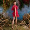 Comercio exterior verano para mujer Nuevo vestido mini plisado de hombro oblicuo cola de malla vestido de fiesta de banquete conjunto de dos piezas