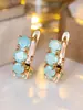 Amazon 5 Flores de Gelo Explosão de Cristal Rodada Brincos de Diamante Europeus e Americanos Personalizados Acessíveis Luxo Moda Brincos de Pedra Preciosa Dropshipping