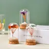 Árbol del Dinero de Grava de Cristal Natural Cubierta de Polvo de Vidrio Árbol de Cristal Hecho a Mano Creativo Árbol de la Vida de Cristal Decoración para el Hogar