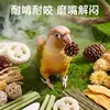 Juguete para loro para aliviar el aburrimiento y el autoentretenimiento, masticación natural y limado de pico, para periquitos australianos pequeños, periquitos, ninfas y agapornis
